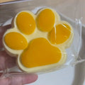Cat Paw Squishy