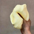 Jumbo Cheese Squishy